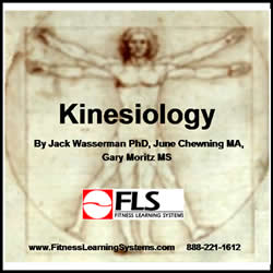 Kinesiology Image
