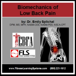 Biomechanics of Low Back Pain Image